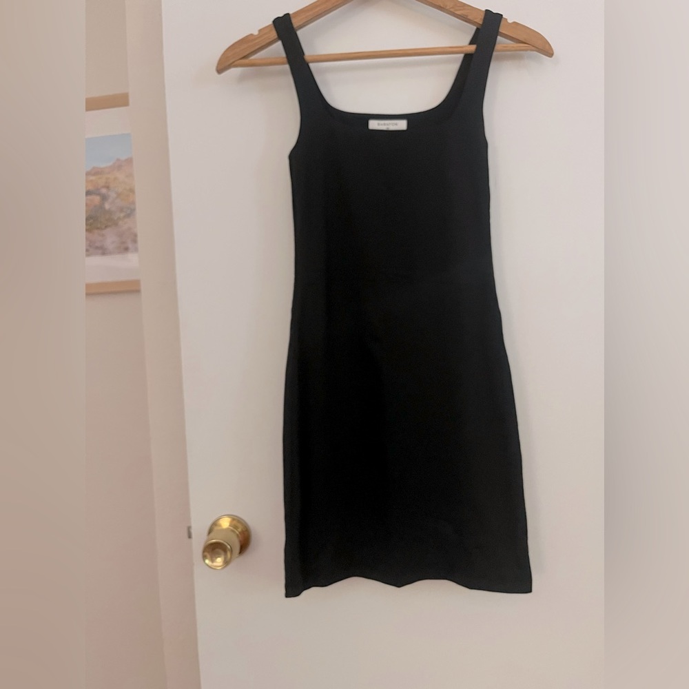 Babaton bodycon dress